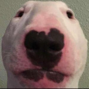 Meet your Posher, No